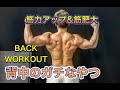 背中をガチで鍛える!!筋力＆筋肥大[Back Workout]