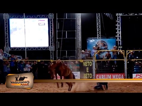 Waguinho Animal - Final cutiano em Riolândia 06/08/16