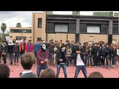 Liceo A.Rosmini Palma Campania: Harlem Shake