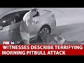 Pit Bull Attack Leaves Elderly Harris County Man In Critical Condition