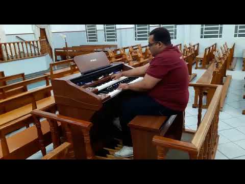 Orgão Eletrônico Tokai T-1 Concert - Loja Teclasom