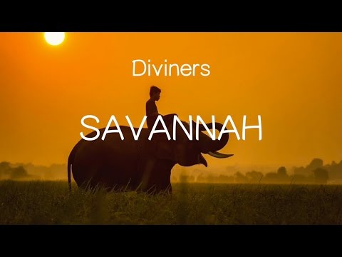 【洋楽和訳】Diviners  ft. Philly K - Savannah