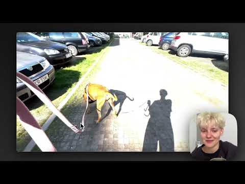 Spacer z psem z agresją lękową - progres