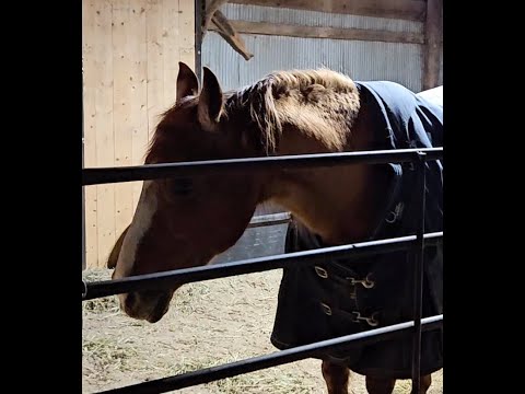 Part 7.  Sailing Smart