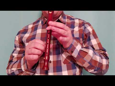 Ludwig van Beethoven - Oda do radości (cover in flute)