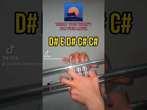 What you won't do for love (trumpet tutorial) (English) #tutorial #music #trumpet #viral #shorts