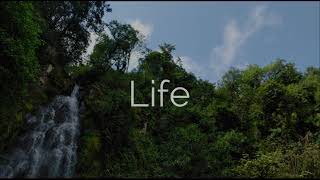 [English] Calle 13 - La Vida (Respira el momento) / Life (Breathe in the moment)