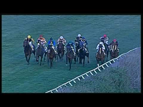 Galoppo 25/02/2020 - 5ª corsa