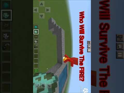 What Minecraft Mob Will Survive The Fire? 🔥🔥🔥