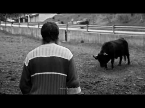 Kampf der Königinnen | Trailer (2011)