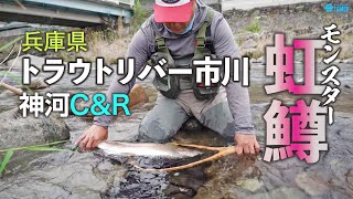 ティムコ動画 ティムコ ティムコ動画 ティムコ