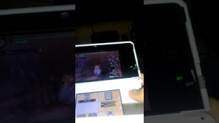 ブラキをフルボッコにするだけの動画
