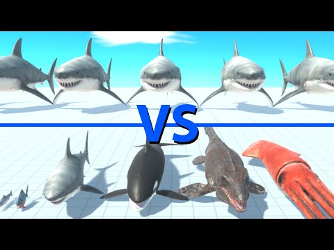 GREAT WHITE SHARK Team vs NEW AQUATICS Team - Animal Revolt Battle Simulator