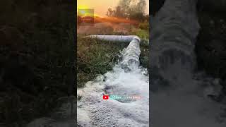 Download lagu Kollayile Thennai vaithu Whatsapp Status mp3 Download lagu Kollayile Thennai vaithu Whatsapp Status mp3