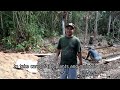 Update from Borneo
