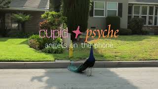 Cupid & Psyche – “Angels On The Phone”