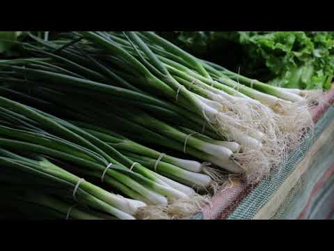 Ceger ep. 750 22. 09. 2021.