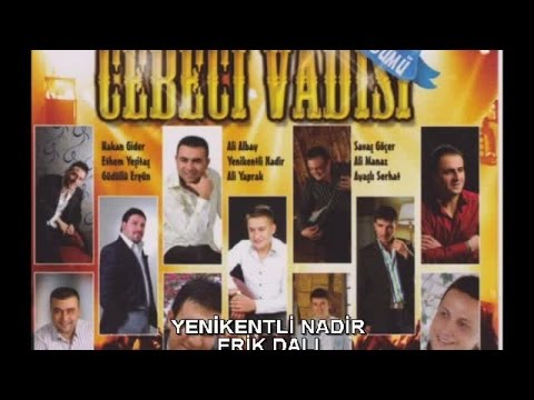 YENİKENTLİ NADİR - ERİK DALI