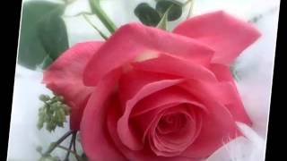 BESAR ESA BOCA.ALEXANDER PIRESmp4