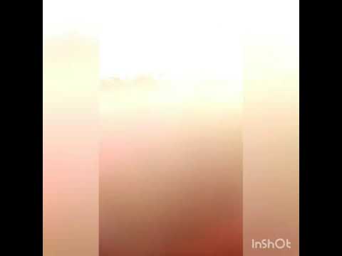 Captura la 7kg pe balta sindrilita 1-1A