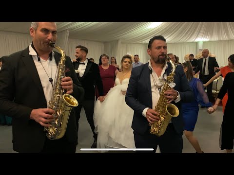 NICU ALBU SI SERGIU STB IN TRANSILVANIA - DE AS PUTEA SA FAC CE VREAU