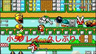 【マリオメーカー実況】久々の小5プレイ