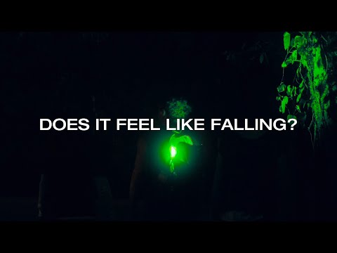 nightly – does it feel like falling (lyric video)