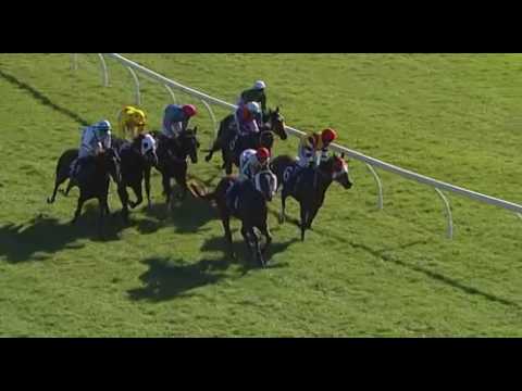 Belmont Park, 15/06/2016 - Race 4 - BANGALORE - Chris Gangemi & Peter Knuckey