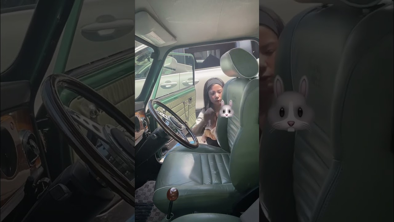 不便にして、愛すべき私の日常