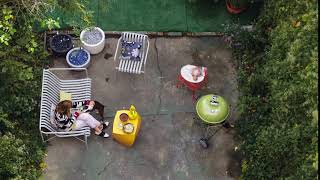 Explore Ellen Van Dusen’s colorful Brooklyn backyard | Design Within Reach