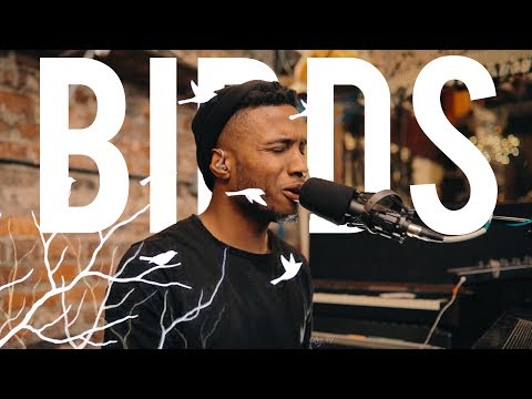 IAMSON - Birds LIVE