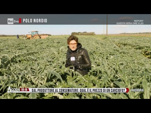 La ballata del carciofo - Agorà 23/01/2023
