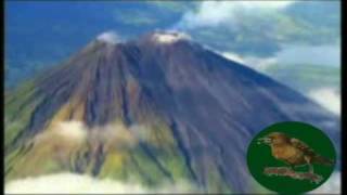 Costa Rica - Jakob Dylan