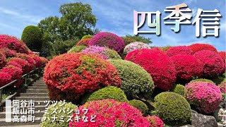 【地方発・長野】四季信