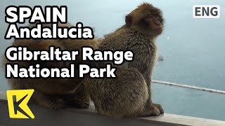 【K】Spain Travel-Andalucia[스페인 여행-안달루시아]지브롤터 레인지 국립공원/Gibraltar Range Park/Cable Car/Observatory