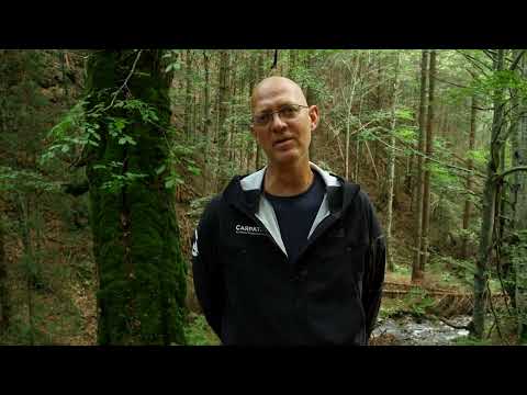 Mihai Zotta - Inginer silvic