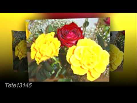 Franyaneco 💕❤💕   Y  si te digo   💕❤💕