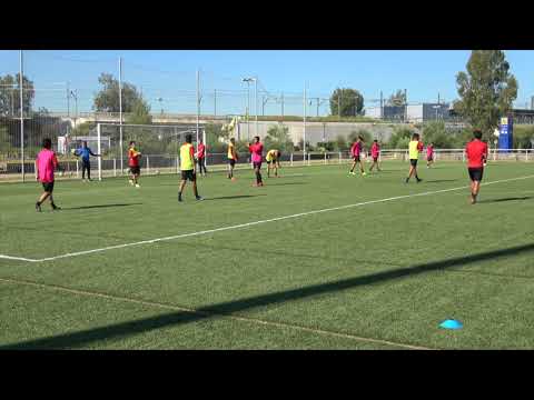 Luis Almeida-  Highlight tape 2017/18