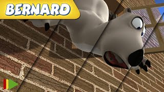 🐻‍❄️ BERNARD  | Collection 33 | Full Episodes | VIDEOS and CARTOONS FOR KIDS