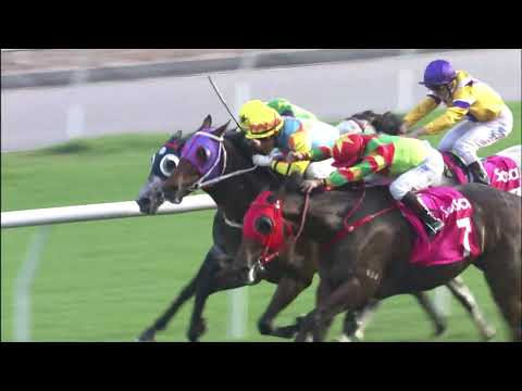 7/11/2021 (155) Tourbillon Diamond - A Badel (G3, The Sa Sa Ladies' Purse)