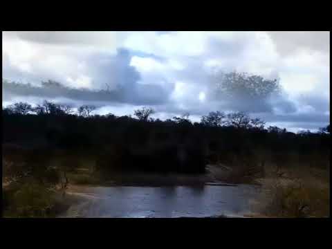 Djuma: Rain clouds building - 06/27/2022