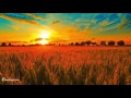 Best Sound Therapy Music Mix - Dean Evenson Sound Healing Playlist