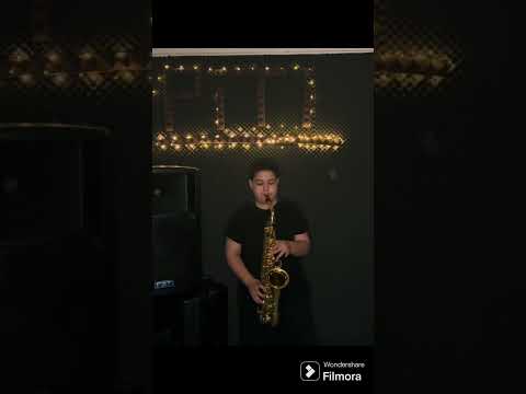 ❌❌Piti Caluian- Sistemul Zuralo❌❌cover Generatia de catifea