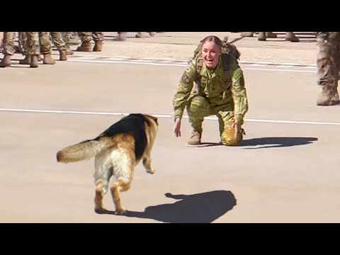 Tiere, die nach jahrelangem Warten wieder mit ihren Besitzern vereint sind!