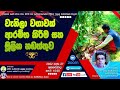 වැනිලා වගාවක් ආරම්භ කිරීම සහ මූලික නඩ�