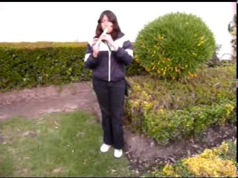 Notas para flauta (ES): Amor Eterno, notas para flauta