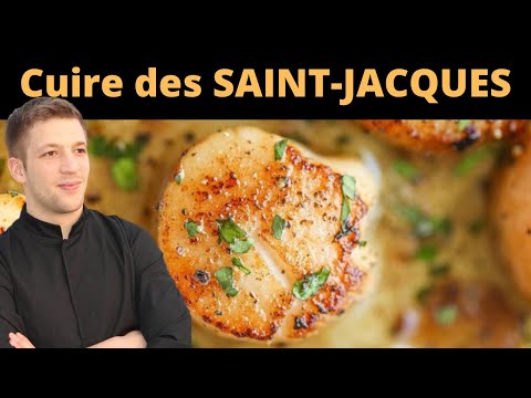 Comment cuire des coquilles SAINT-JACQUES ?