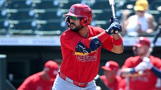 Leonardo Bernal 2024 Minor League Highlights!