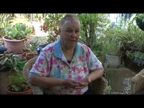 Jan James: My Path to Connecting Aboriginal People