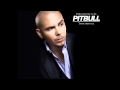 Vida 23 Pitbull FT  Nayer